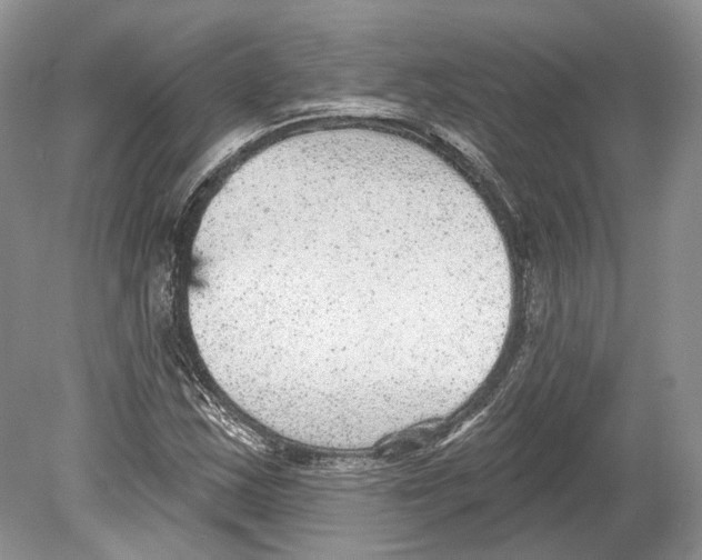 X0000078871163200612111706