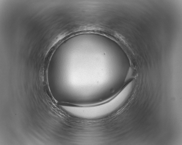 X0000078871165200612111706