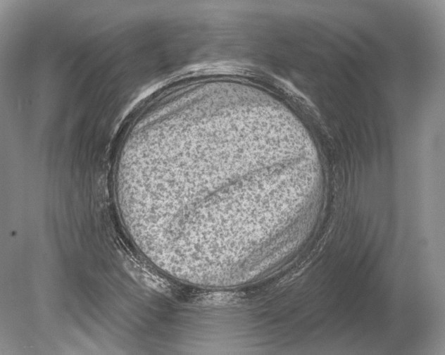 X0000078871166200612111706