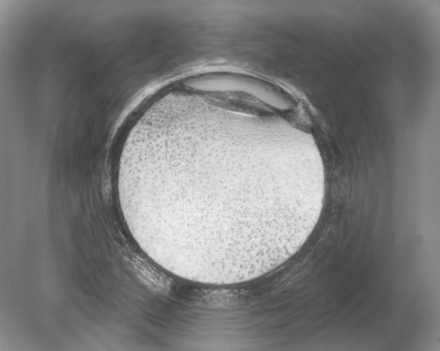 X0000078871167200612111706