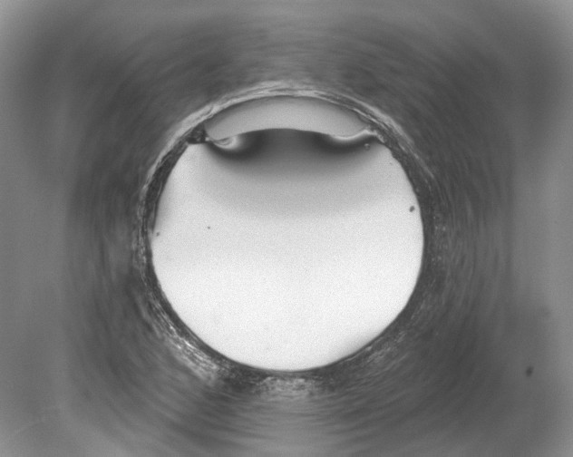 X0000078871168200612111706