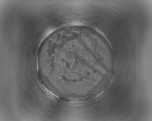 X0000078871171200612111706