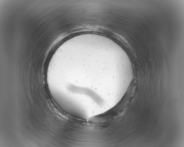 X0000078871172200612111706