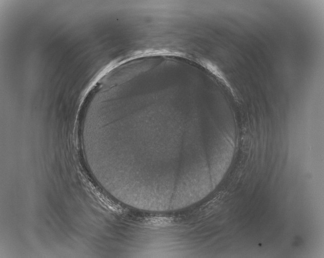 X0000078871173200612111706