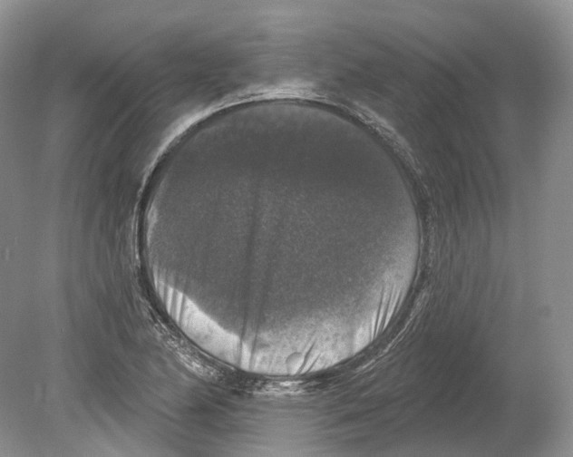 X0000078871174200612111706