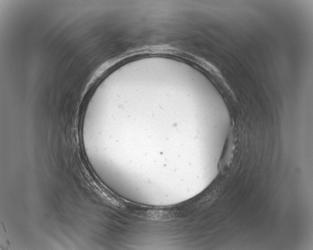 X0000078871176200612111706