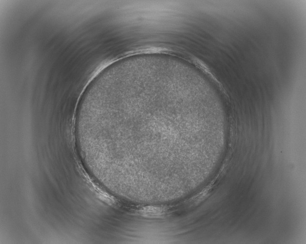 X0000078871178200612111706