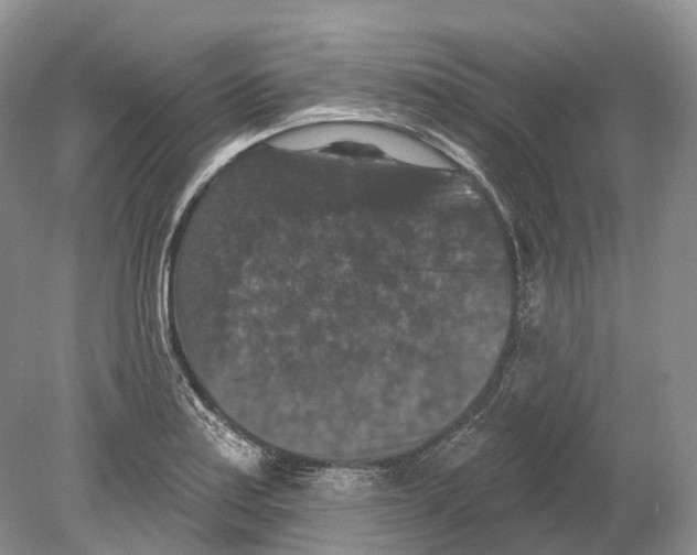 X0000078871179200612111706