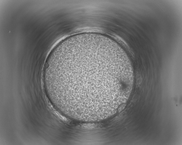 X0000078871182200612111706