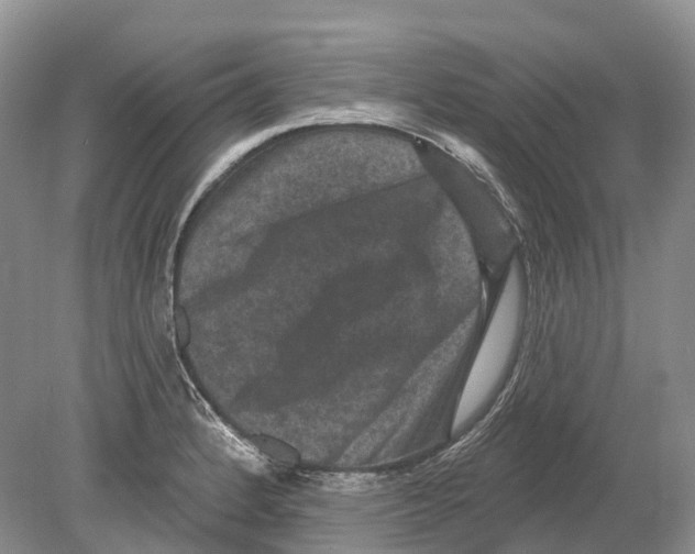 X0000078871184200612111706