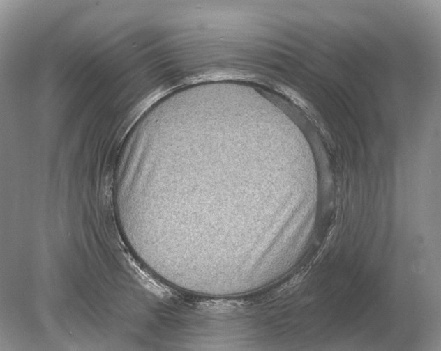 X0000078871185200612111706