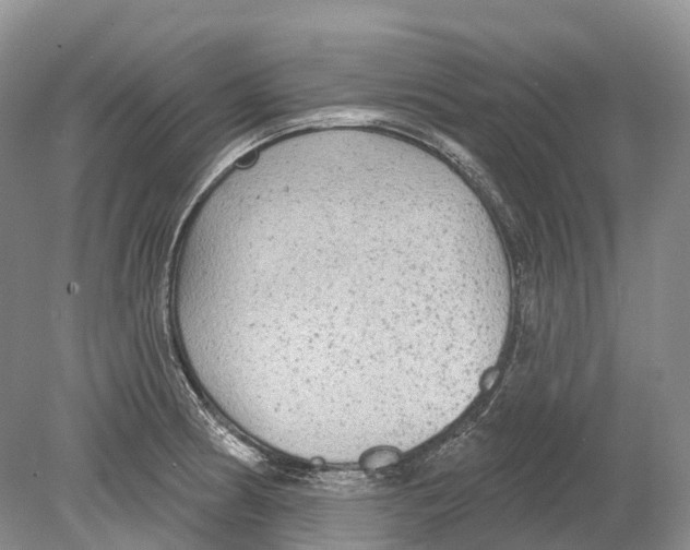 X0000078871186200612111706