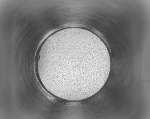 X0000078871187200612111706