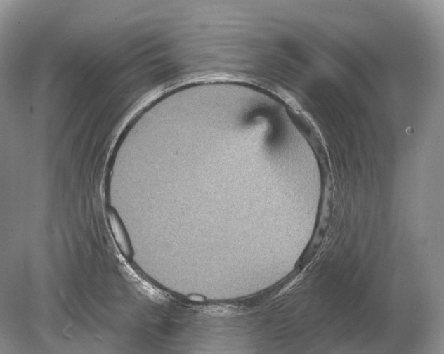 X0000078871189200612111705