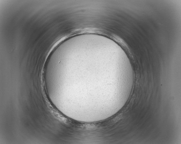 X0000078871190200612111705