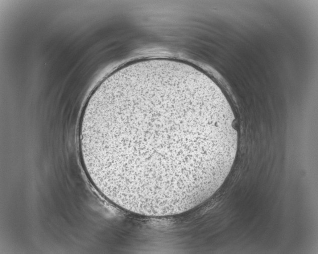 X0000078871191200612111705