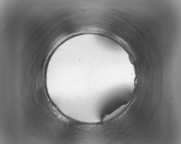 X0000078871192200612111705