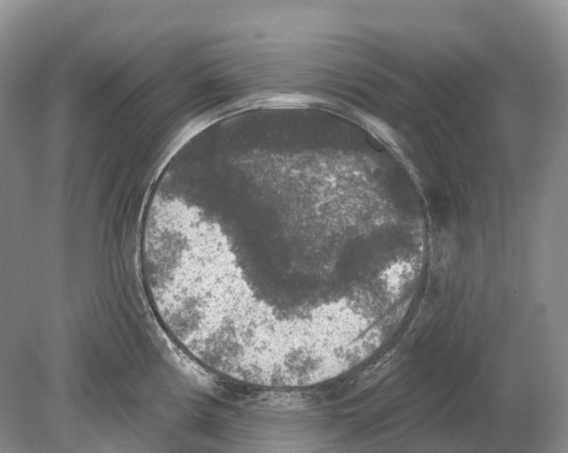 X0000078871194200612111705