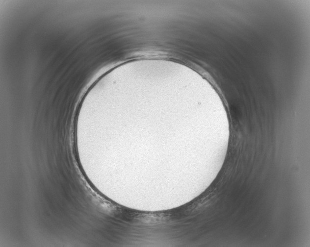 X0000078871195200612111705