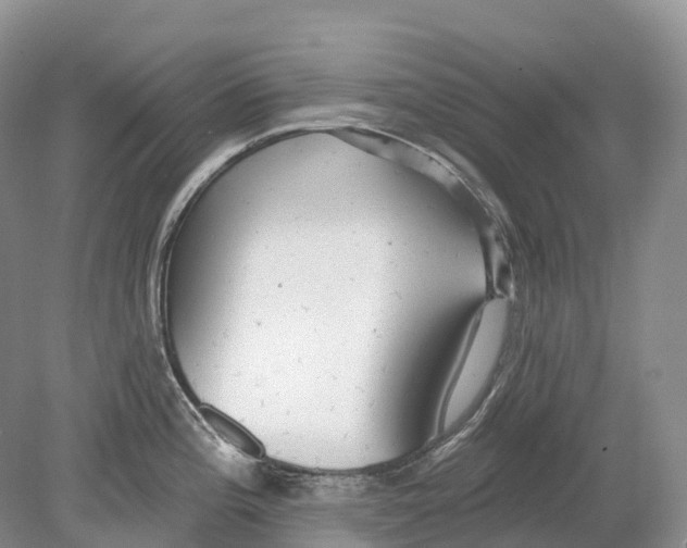 X0000078871196200612111705