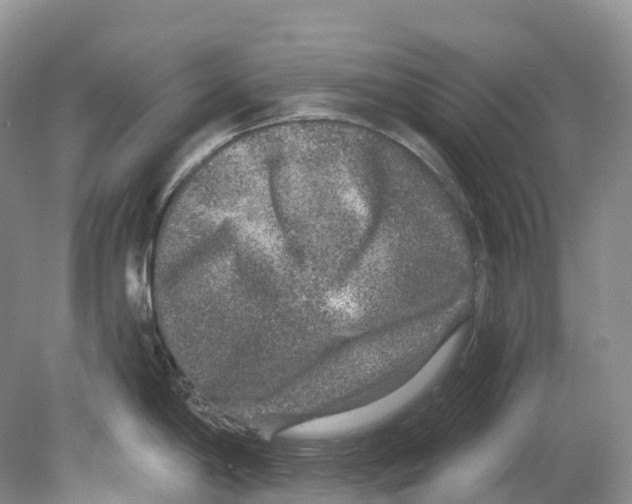 X0000078871198200612111705