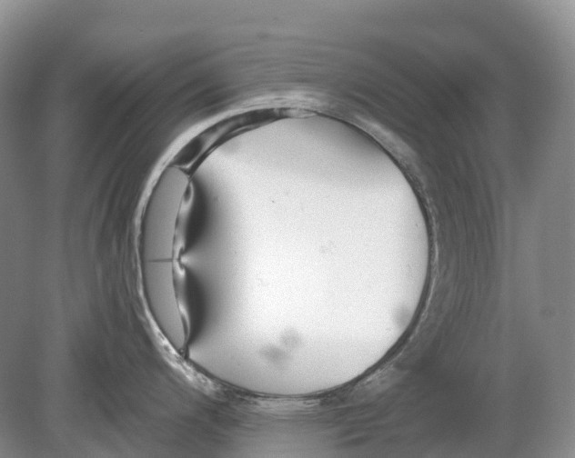 X0000078871200200612111705