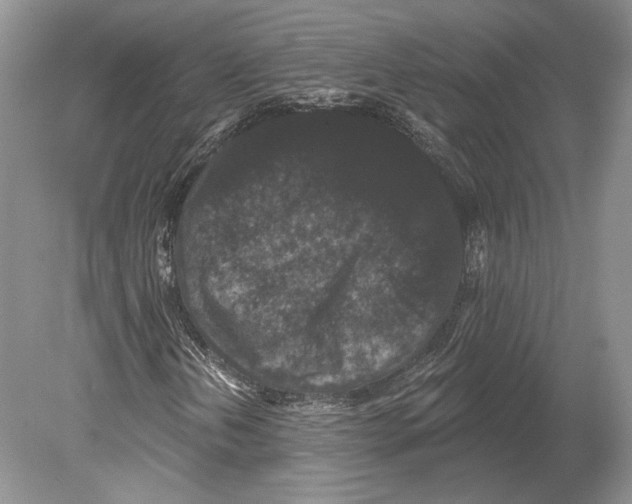 X0000078871202200612111705