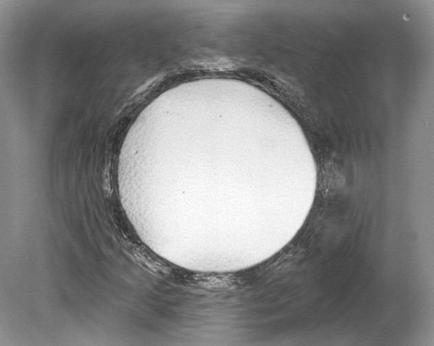 X0000078871205200612111705