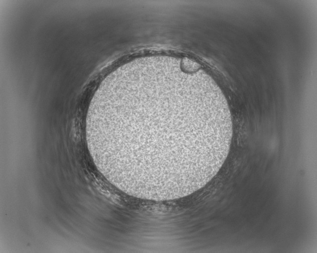 X0000078871207200612111705