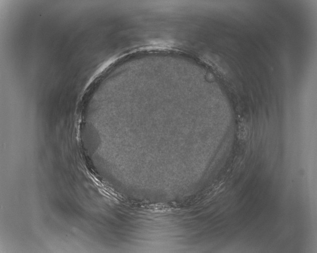 X0000078871208200612111705