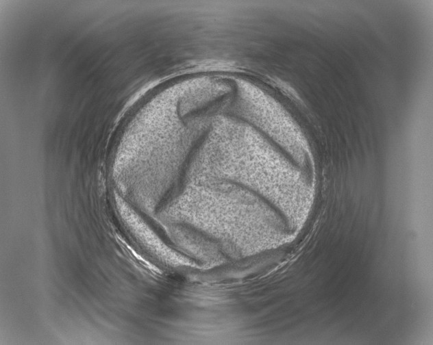 X0000078871212200612111705