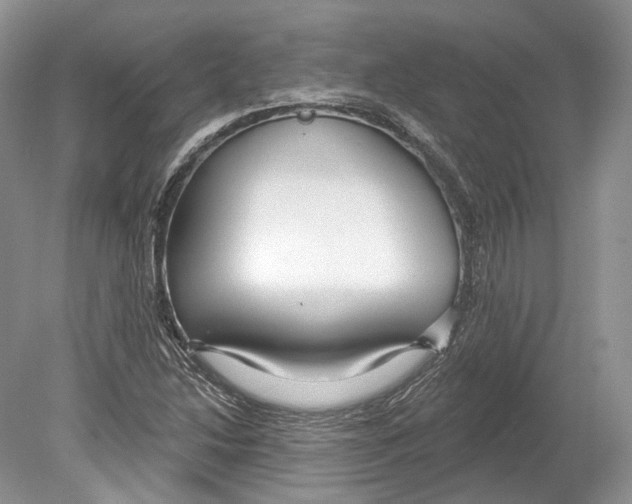 X0000078871214200612111705