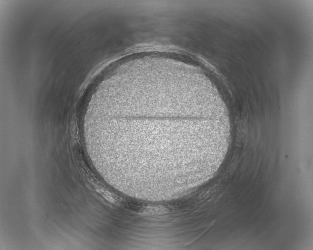 X0000078871215200612111705