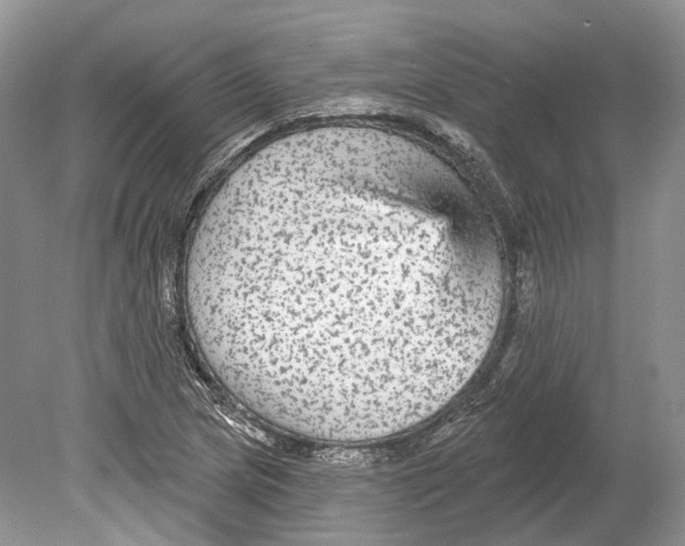 X0000078871217200612111705