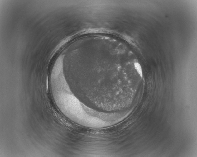 X0000078871221200612111705