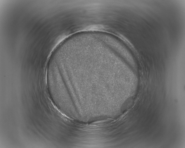 X0000078871224200612111705