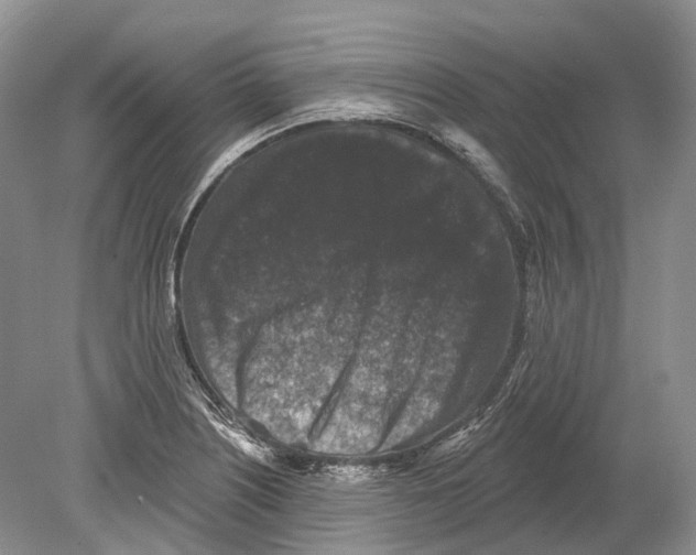 X0000078871226200612111705