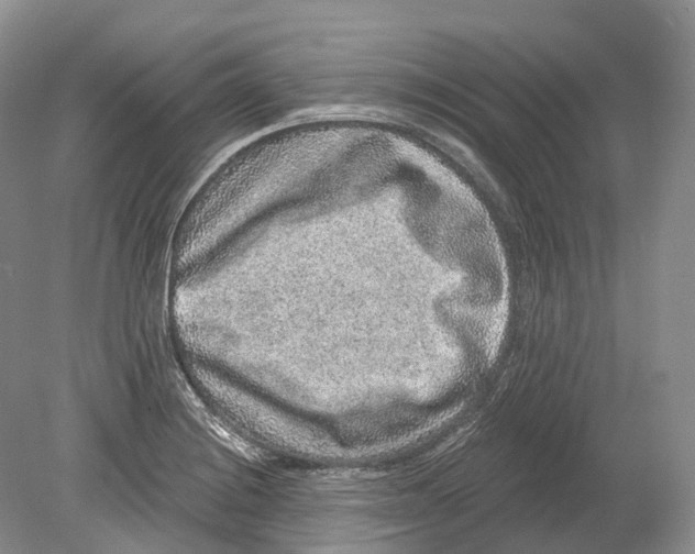 X0000078871228200612111705