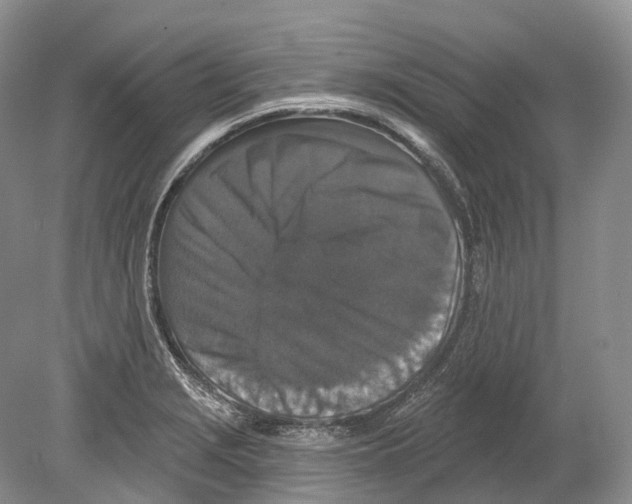 X0000078871229200612111705