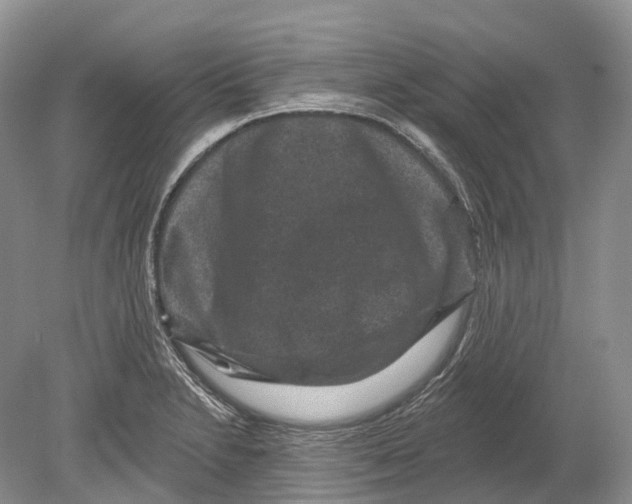 X0000078871230200612111705