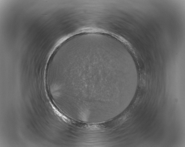 X0000078871231200612111705