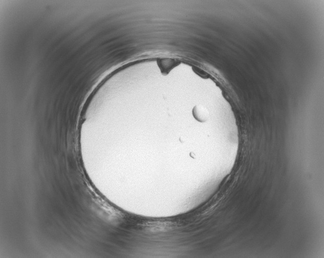 X0000078871236200612111705