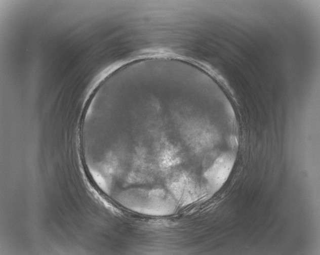 X0000078871239200612111705