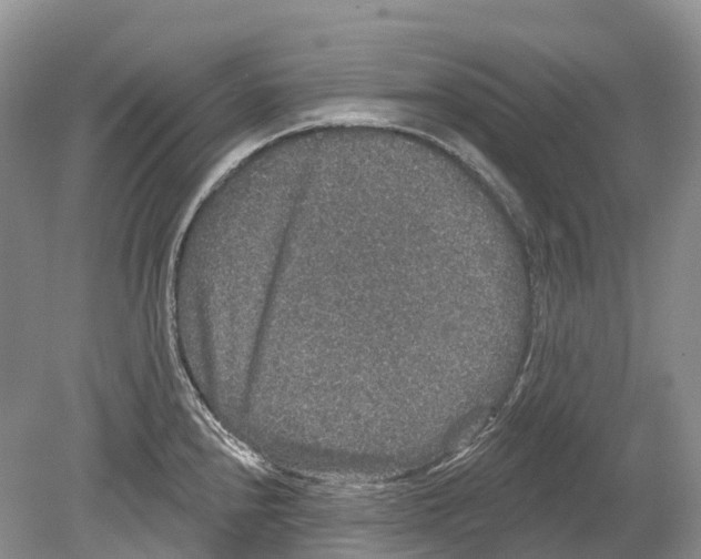 X0000078871240200612111705