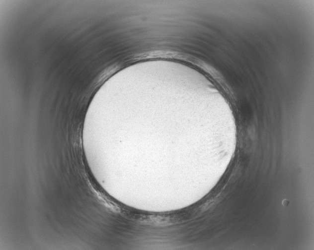 X0000078871241200612111705