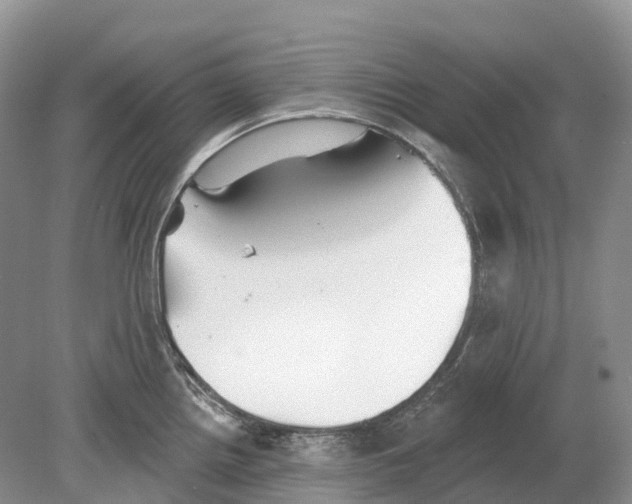 X0000078871242200612111705