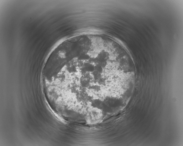 X0000078871243200612111705