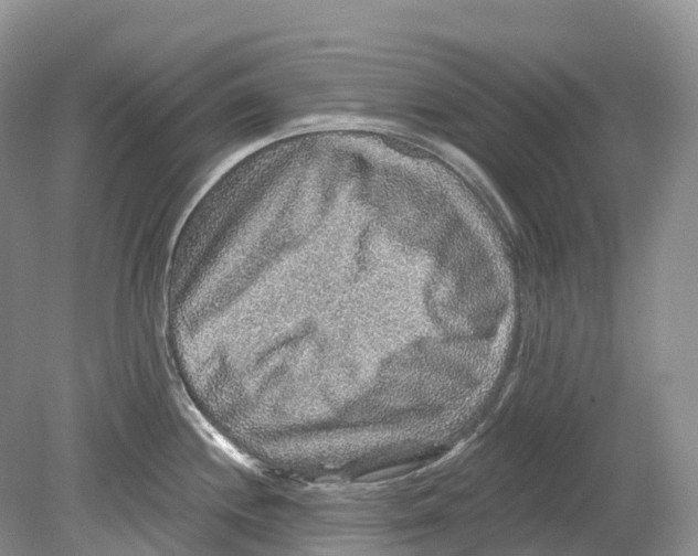 X0000078871244200612111705