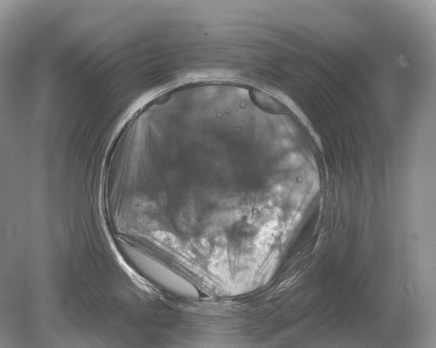 X0000078871245200612111705