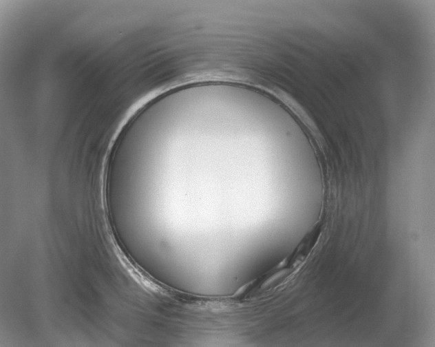 X0000078871246200612111705